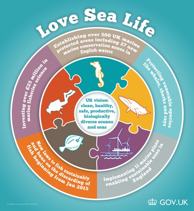 Love Sea Life