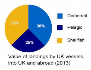 value of landings